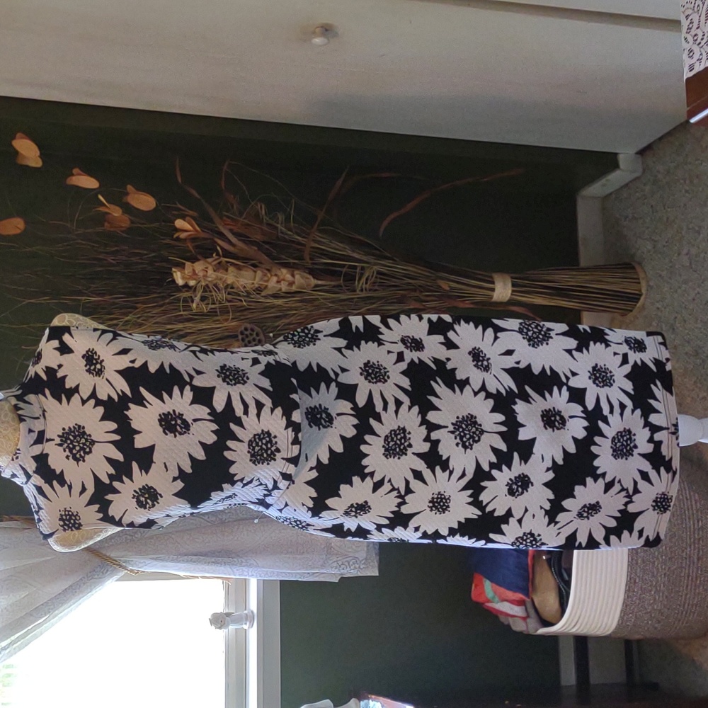 Sans Souci skirt set. Size Medium.